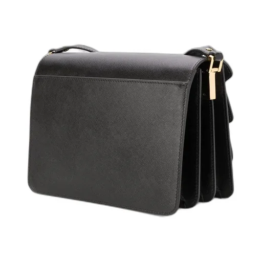 Trunk Foldover Medium Shoulder Bag