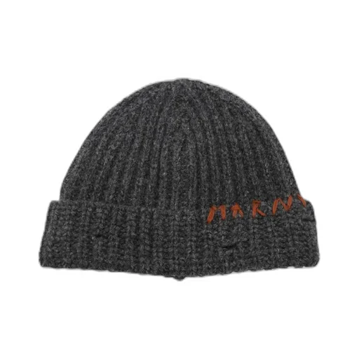 Logo Embroidered Beanie