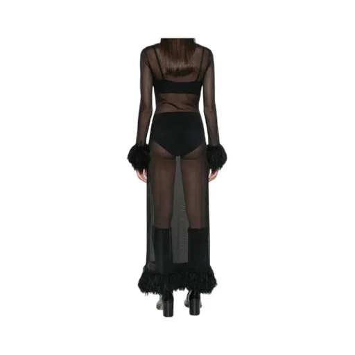 Sheer Long Sleeved Dress