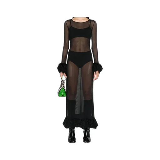 Sheer Long Sleeved Dress