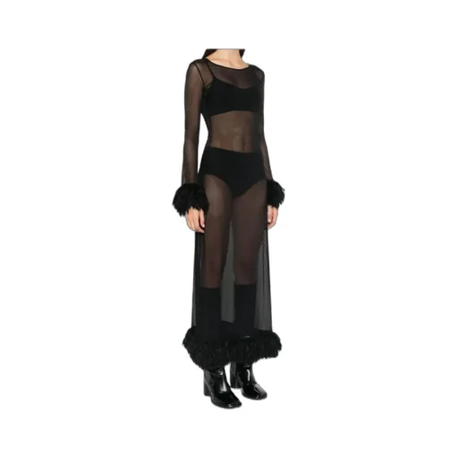 Sheer Long Sleeved Dress