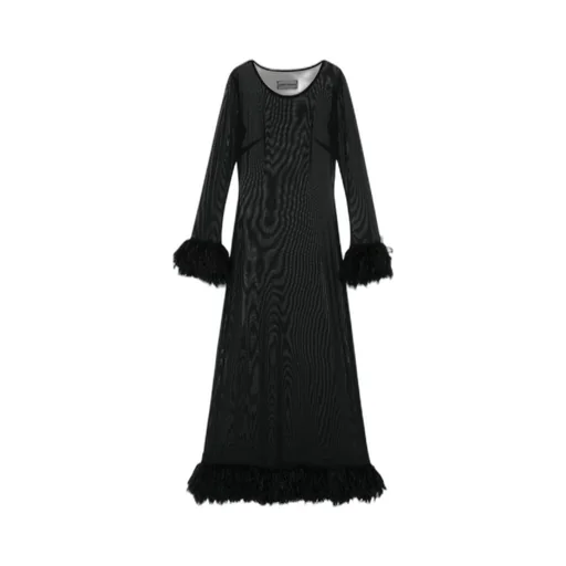 Sheer Long Sleeved Dress