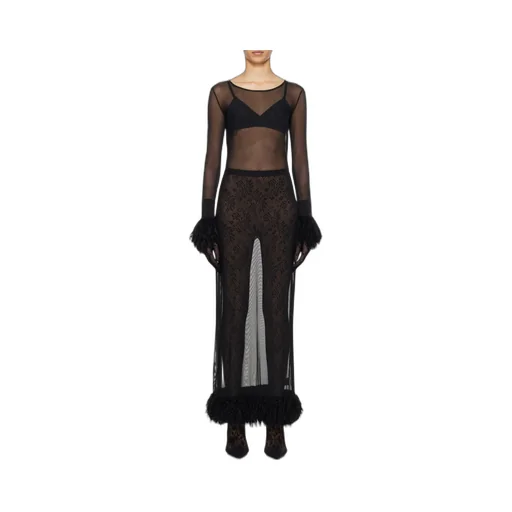 Sheer Long Sleeved Dress