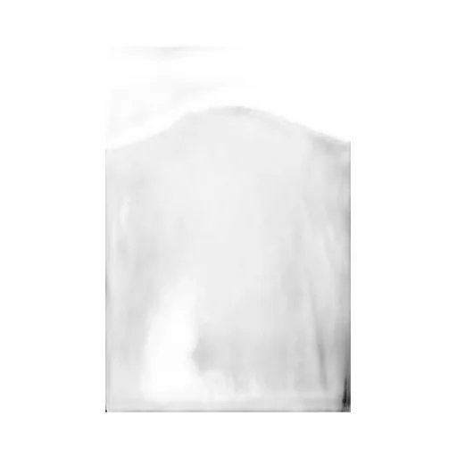 Short-Sleeved T-Shirt