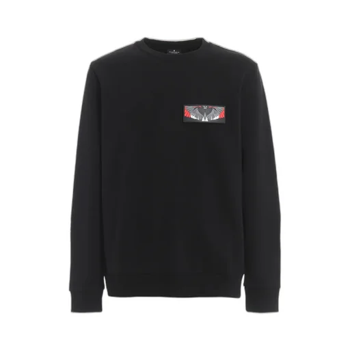 Wing Pattern Patch Sweater