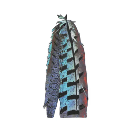 Feather Printed T-Shirt