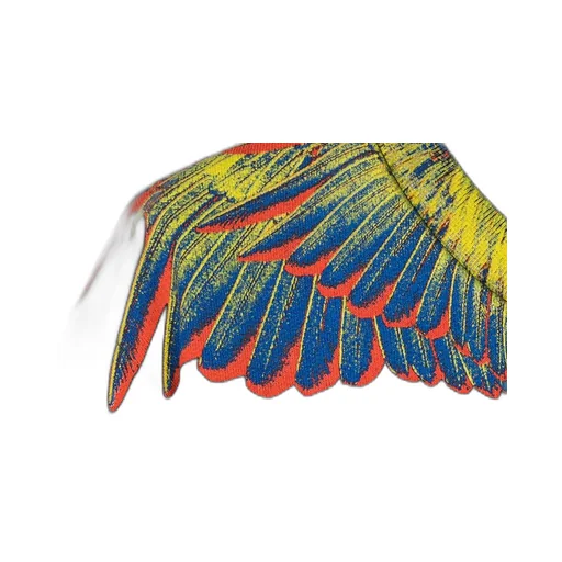 Wings Print Sweatshirt