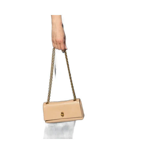 The Dual Chain Mini Bag