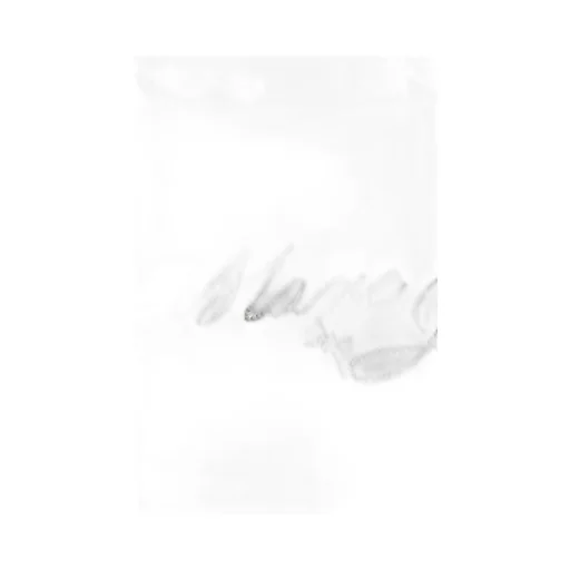 Charm Logo Shrunken T-Shirt