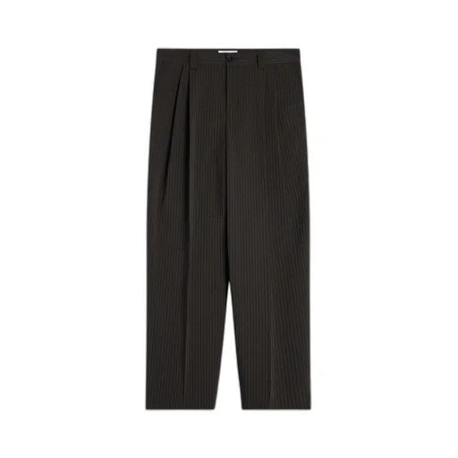 Relaxed Pleated Pants