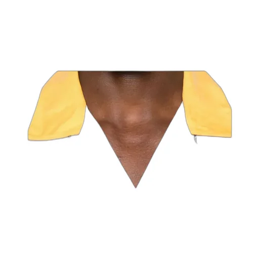 X Nba Los Angeles Lakers Shirt