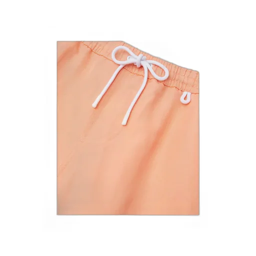 Bay Swim Shorts