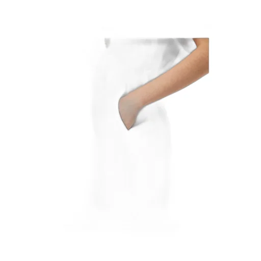 Drake Bermuda Shorts