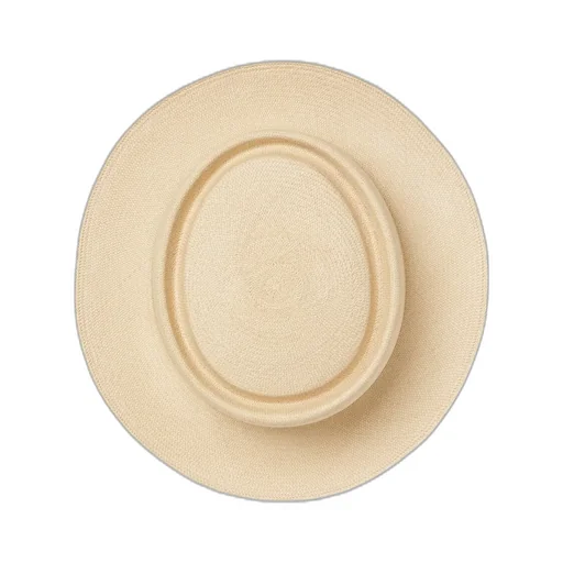 Vettor Hat