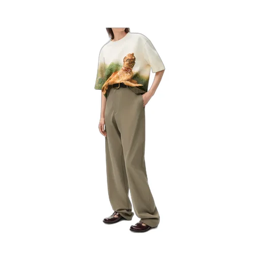 Regular Fit Trousers