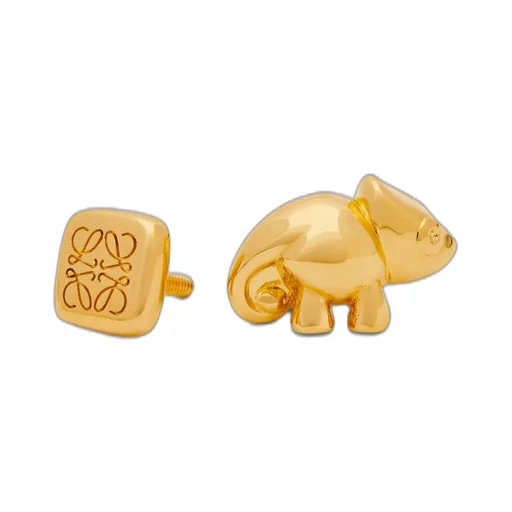 Chameleon Pin