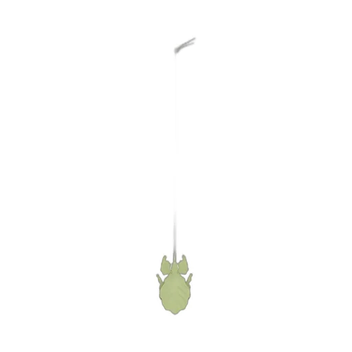 Leaf Insect Keyfob Charm