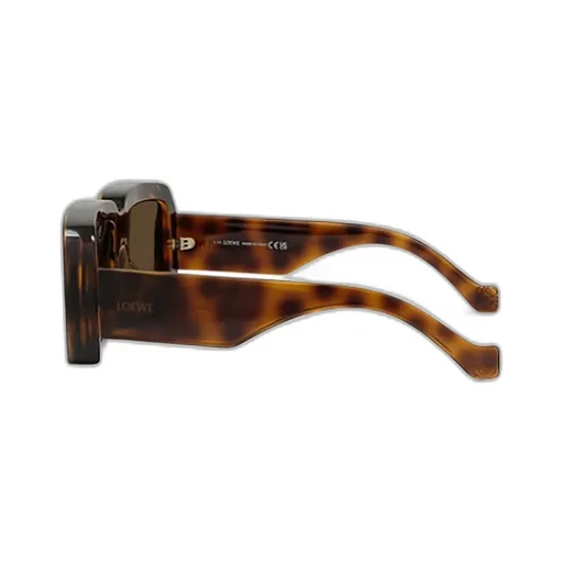 Square Frame Sunglasses