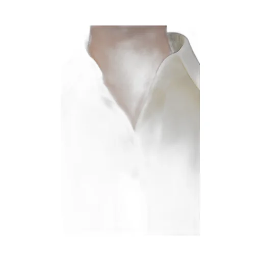 Long-Sleeved Satin Shirt