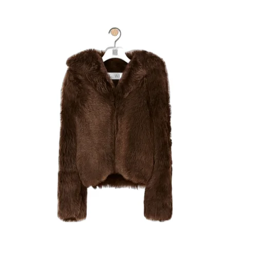 Hooded Jacket In Shearling