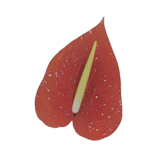 Anthurium Semi Sheer Mesh Top