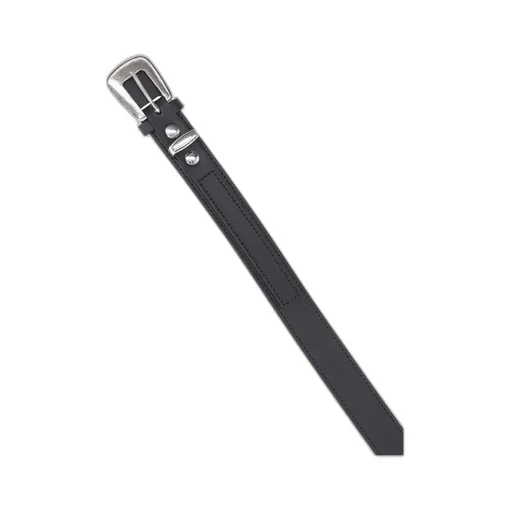 Pin-Buckled Pointed-Tip Belt