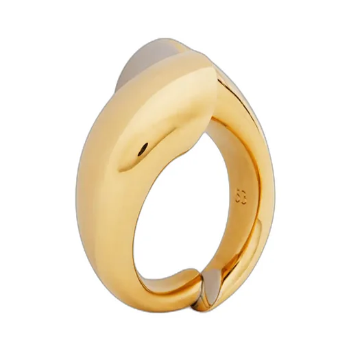 Polished Chunky Ring