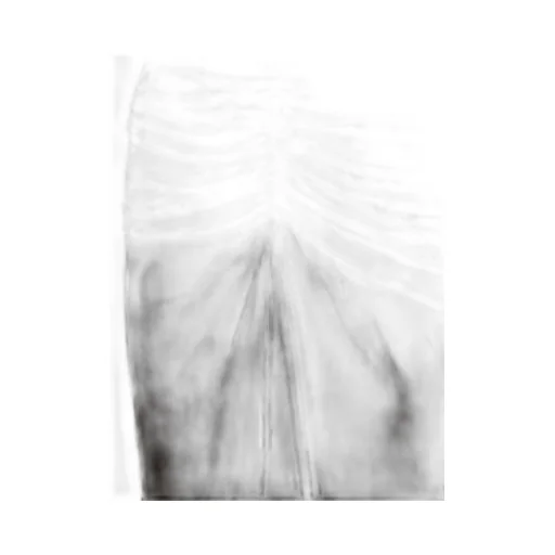 Ruched Satin Midi Skirt