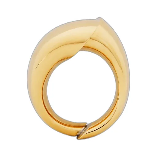 Polished Chunky Ring