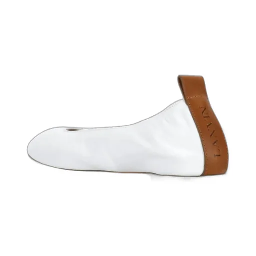 The Ballerina Flat Shoes