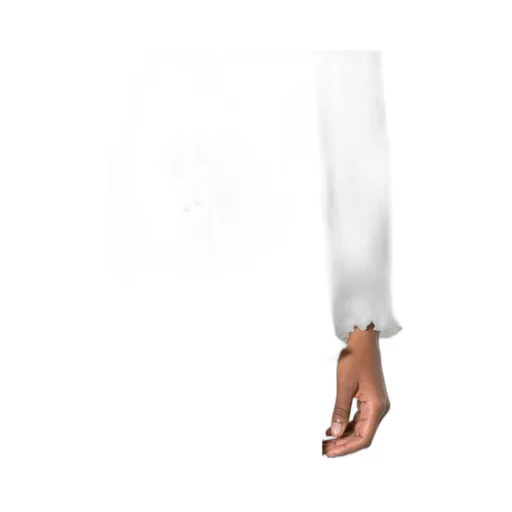 Ruffled Hem Pleated Blouse