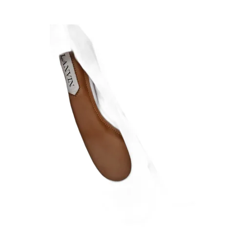 The Ballerina Flat Shoes