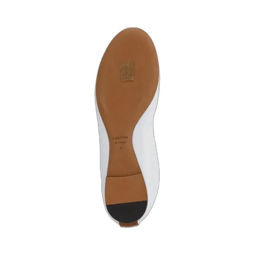 The Ballerina Flat Shoes