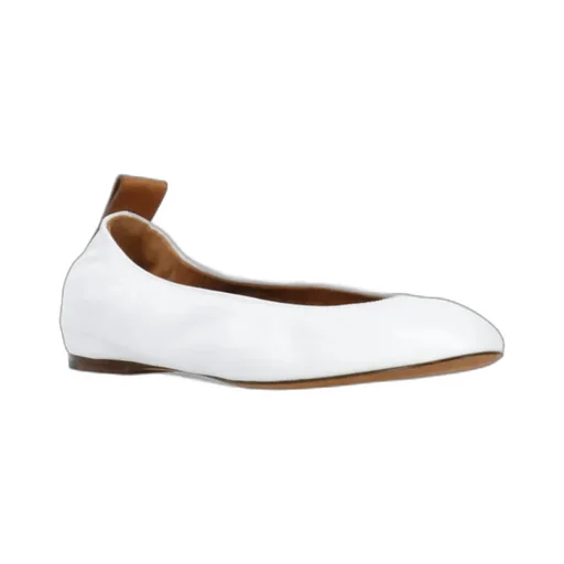 The Ballerina Flat Shoes