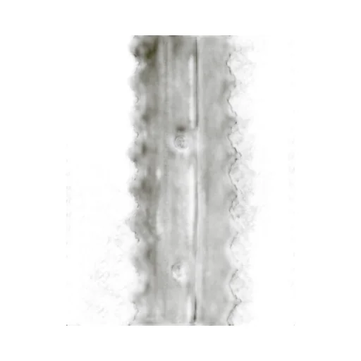 Choux Dress