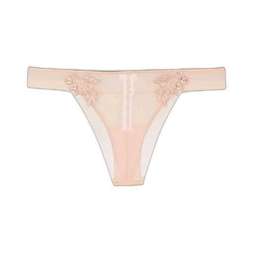 Translucent Brazilian Underwear