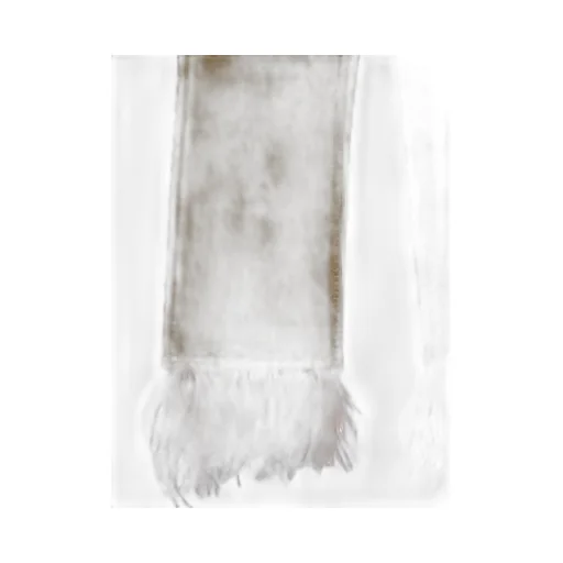 Fancy Feather-Trim Cropped Jeans