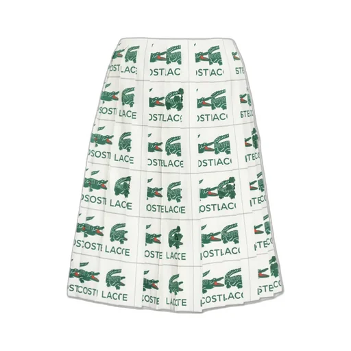 Embroidered Pleated Skirt