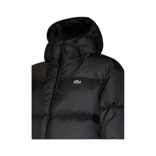Hooded Puffer Jacket