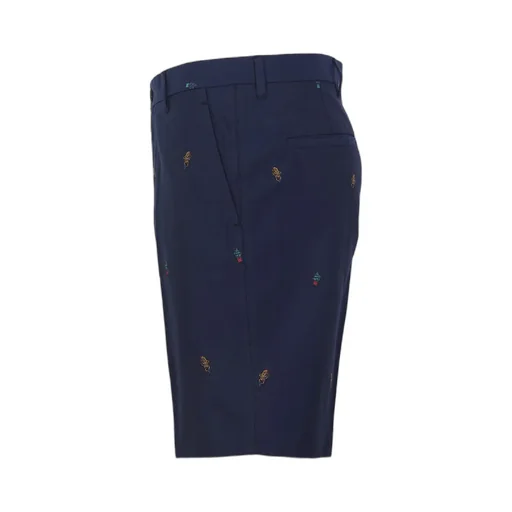 Embroidered Shorts