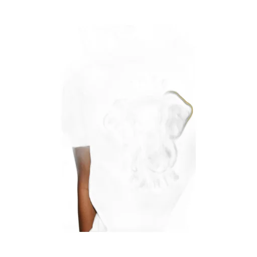Elephant Varsity Jungle Oversized T-Shirt