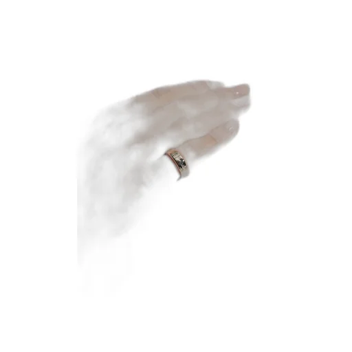 Logo Ring