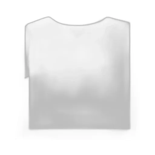 Round-Necked T-Shirt