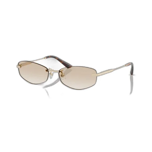 Elliptical Sunglasses