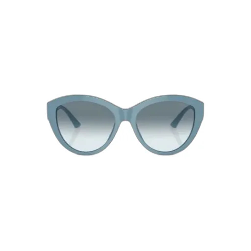 Cat-Eye Frame Sunglasses