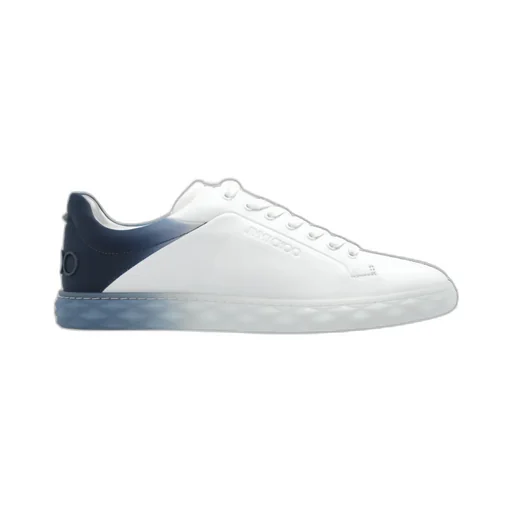 Lace-Up Low-Cut Skate Shoes