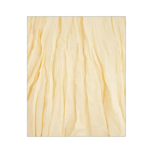 Ribbed-Waist Pleated Maxi Skirt