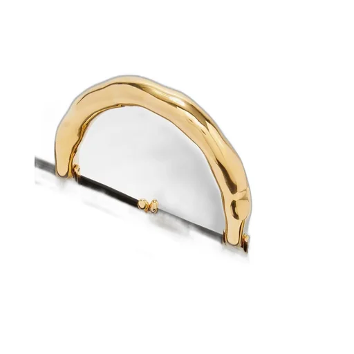 Goji Small Metallic Handled Clutch Bag