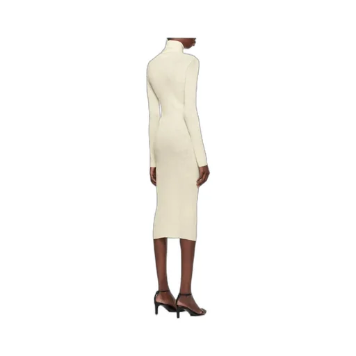 Rib Knitted Dress