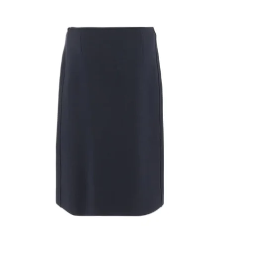 Mini Pencil Skirt